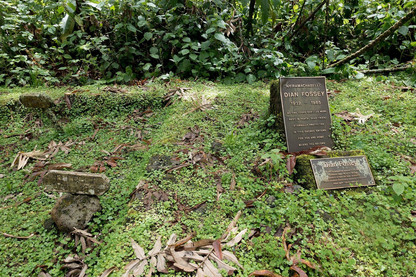 Dian Fossey Tombs Rwanda