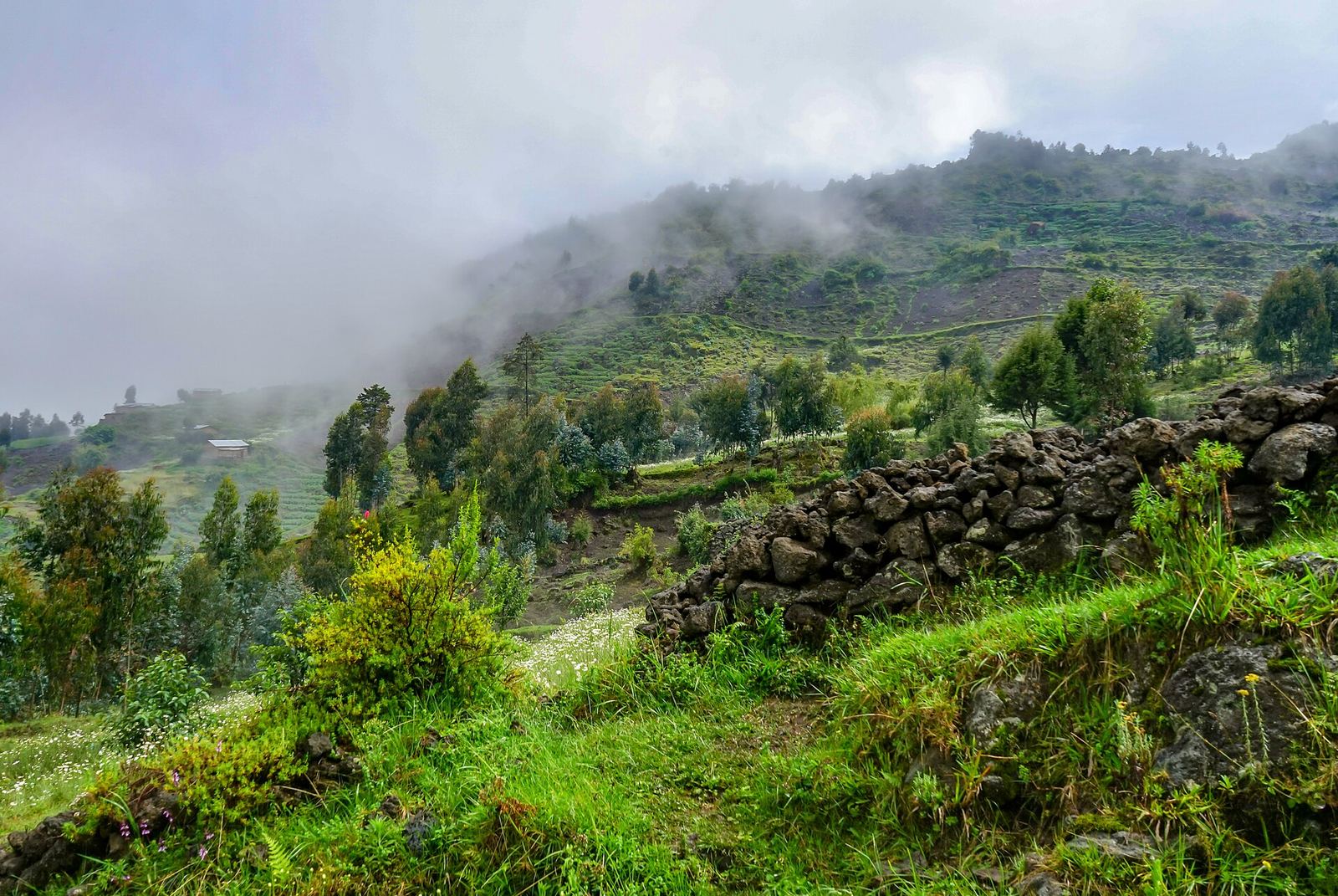 Green hills near Kinigi