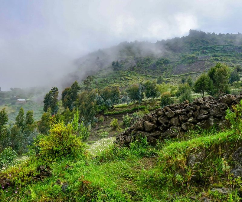 Where to Stay in Musanze