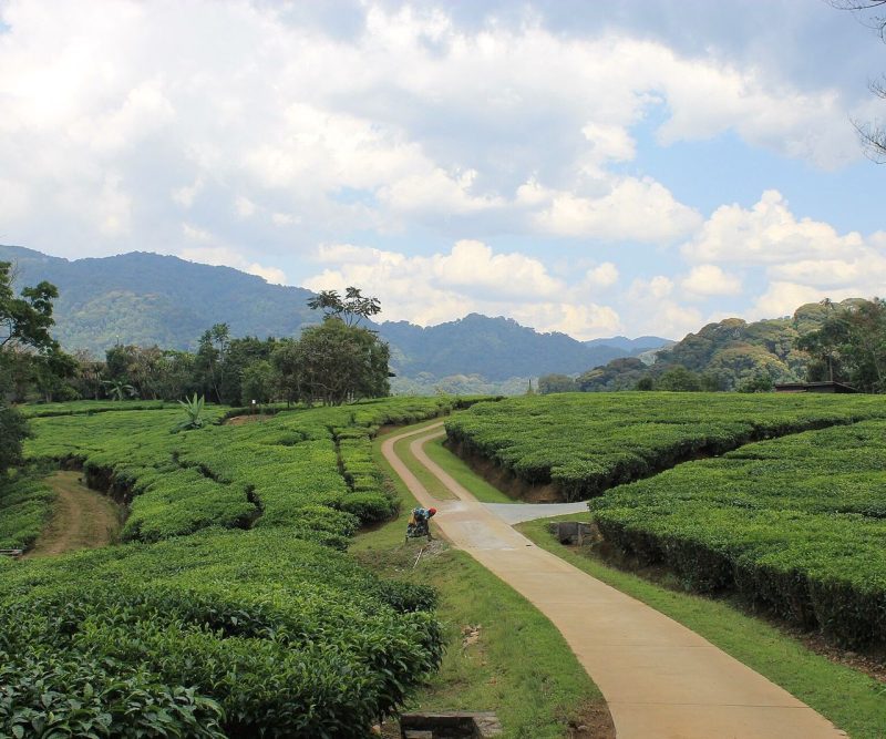 Rwanda on a Budget: A Self-Drive Guide